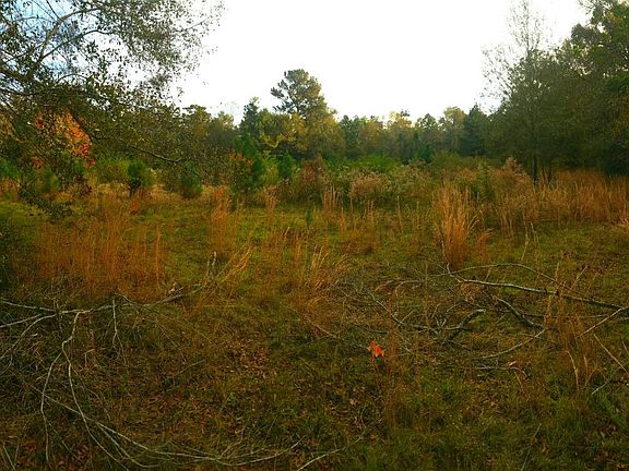 facing S boundary at middle