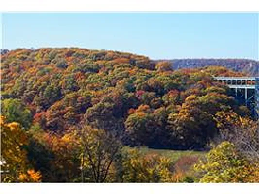 Rented by Douglas Elliman | media 3