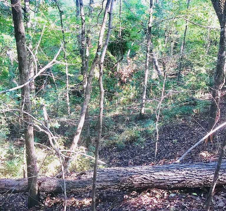 2nd image of 155 Foxhound Run Rd