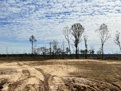 450 Stump Ridge Rd, Brandon, MS, 39047