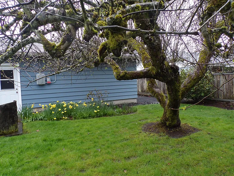 2740 NW Stewart St — Photo 38