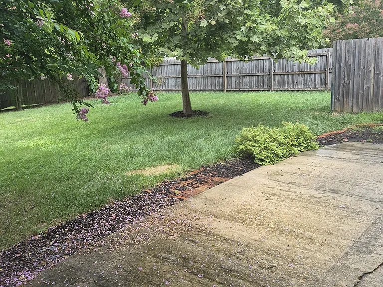 Backyard sanctury