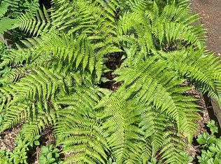 12147 Brantleigh Pl, Fairfax Station, VA 22039