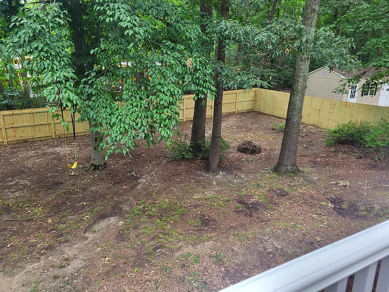 back yard from deck
