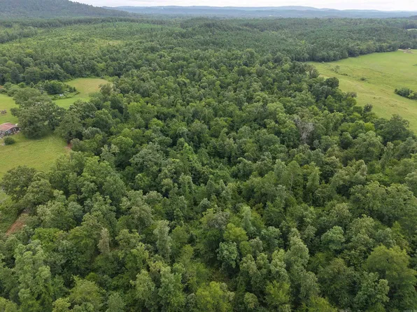 Nubbin Ridge Rd, Royal, AR 71968