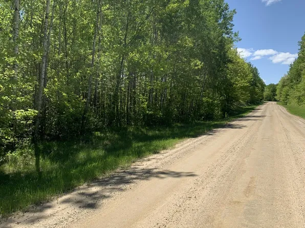 63rd Ave NW, Walker, MN 56484