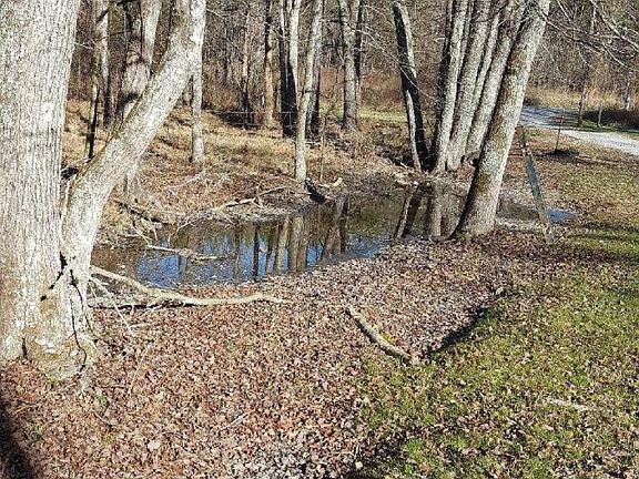 Stream along driveway