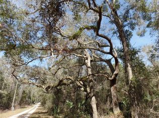 561 Forsythe Rd, Lake Helen, FL 32744