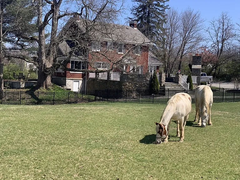 6695 Branch Hill Guinea Pike — Photo 11