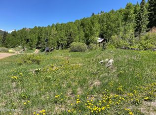 1 8th St, Eagle, CO 81631