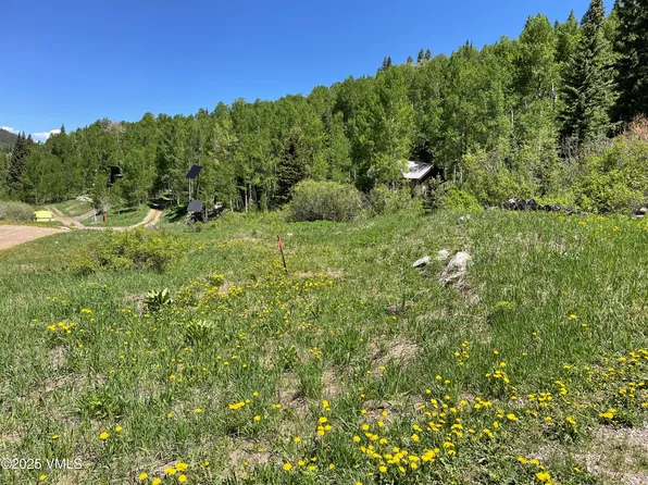 1 8th St, Eagle, CO 81631