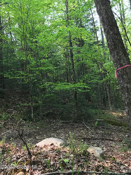 3rd image of L12.1 NY-28