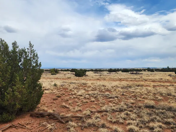 5506 Glasgow Drive #54, Snowflake, AZ 85937