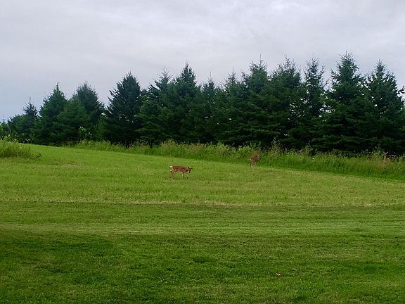 2nd image of S6998 Missel Road