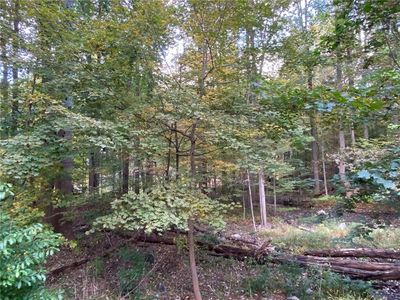 20 Dogwood Lane, Briarcliff Manor, NY, 10510