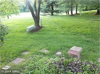 Backyard leading to Parkland