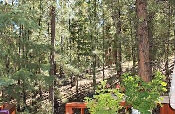 3rd image of 392 Rainbow Canyon Blvd