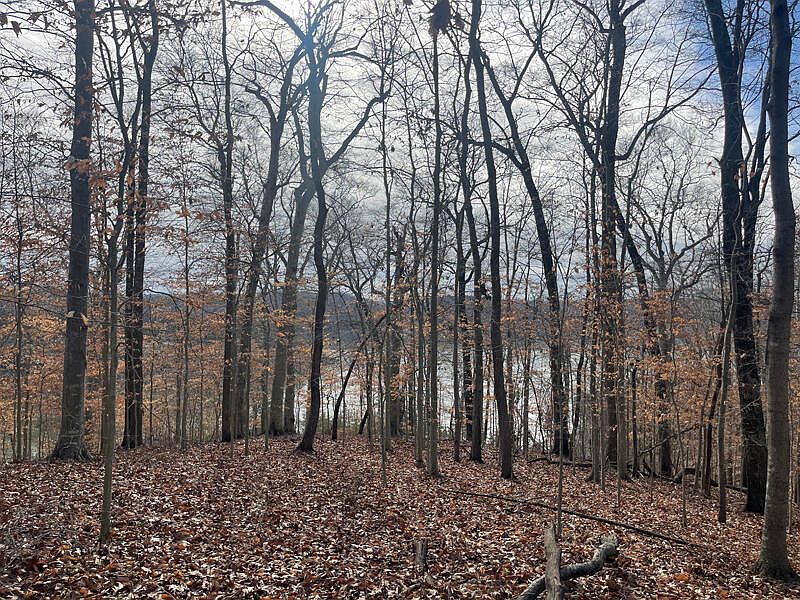 1st image of Lot 11 Fishing Creek