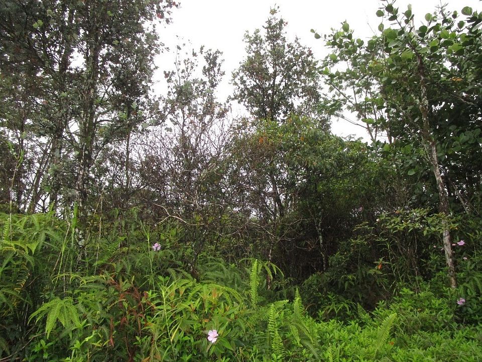1st image of 7th Avenue Hinahina Lot 2076