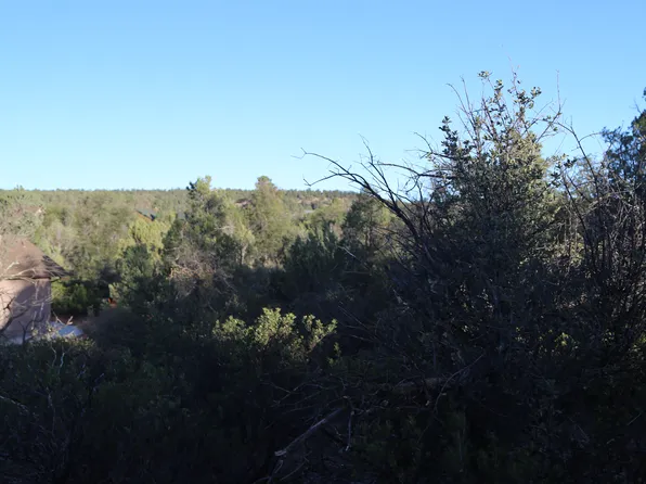 1204 W Norris Ct, Payson, AZ 85541