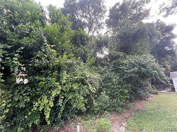 4th image of 7105 N Grackle Point