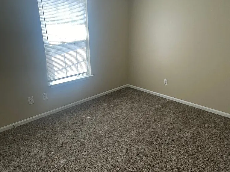 4604 Palm Breeze Ln — Photo 9