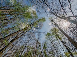 0 Blacks Rd SW, Pataskala, OH 43062