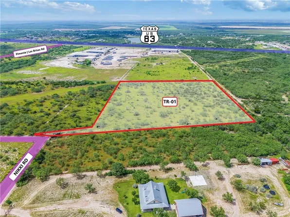 Township Road 1 Nikki Rd, Rio Grande City, TX 78582