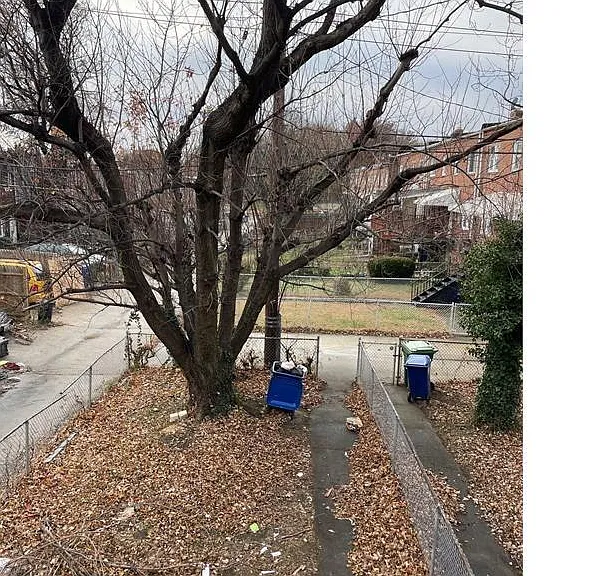 699 Whitmore Ave — Photo 3