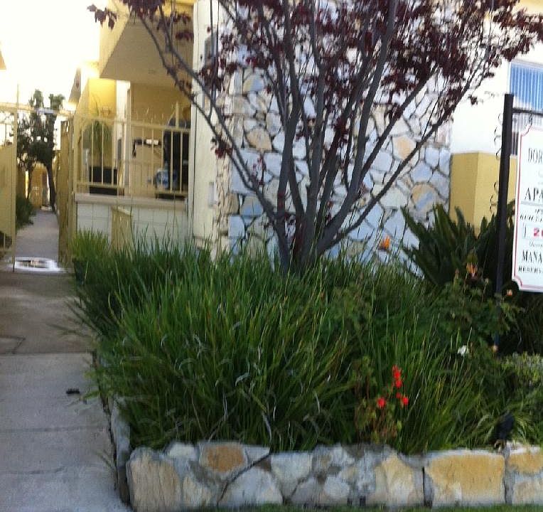 【匿名配送】HOUSES AND GARDENS IN CALIFORNIA 匿名配送】HOUSES AND GARDENS IN CALIFORNIA 匿名配送】HOUSES AND