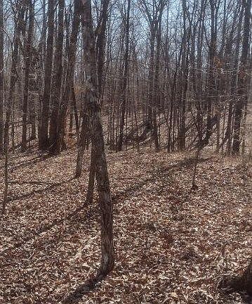 2nd image of 1 Ridge Cliff Dr Lot 49