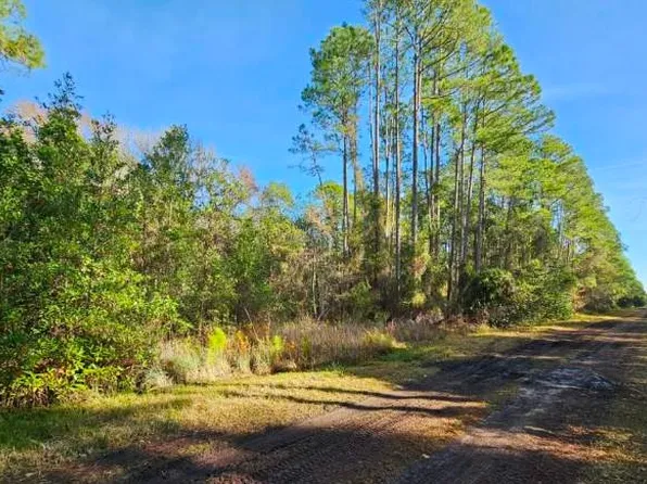 124 Helen Ave, Georgetown, FL 32139