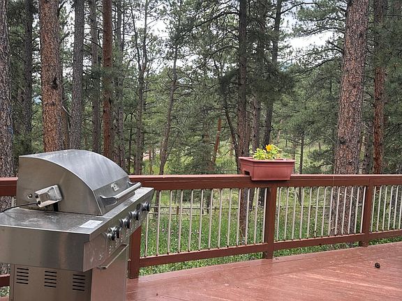 Back Deck with Grill
