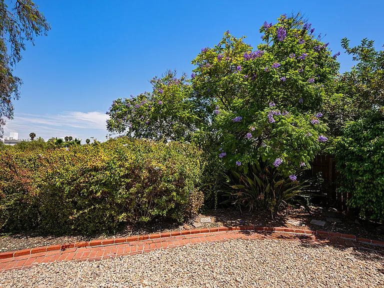 5039 Campanile Dr — Photo 23