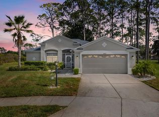 11802 Wayside Willow Ct, Hudson, FL 34667