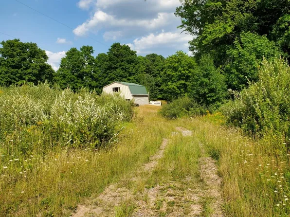 5635 Goodar Rd, South Branch, MI 48761