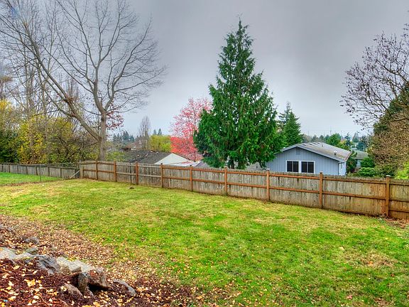 Huge Backyard