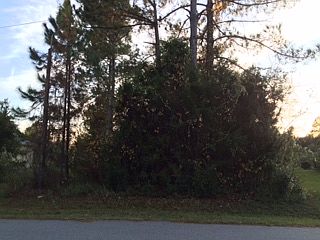 2nd image of 4 White Hall Dr
