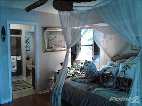 5th image of 7135 Mamouth St