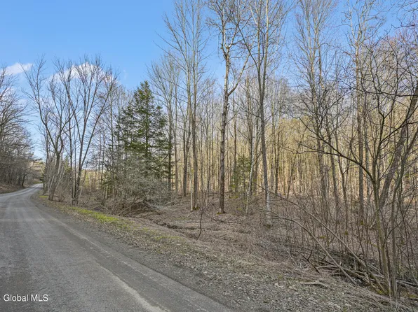 L32.06 Eggleston Hill Road, Cooperstown, NY 13326