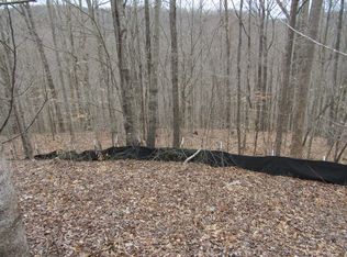 0 W Bobcat Ln #60, Wilder, TN 38589