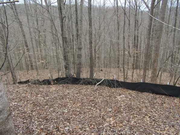 0 W Bobcat Ln #60, Wilder, TN 38589