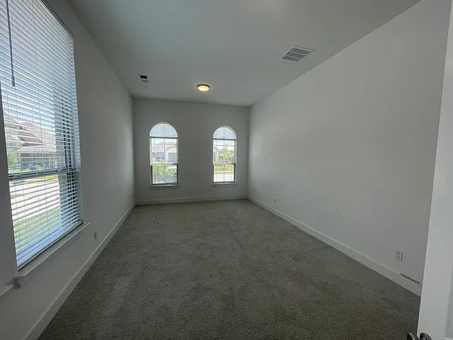 4317 Sanctuary Dr — Photo 11