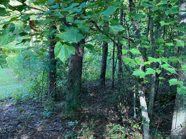 Blackberry Peachtree, Blairsville, GA 30512