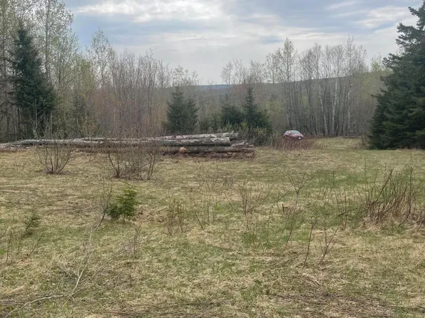 Lot 2 Grivois Road, Grand Isle, ME 04746