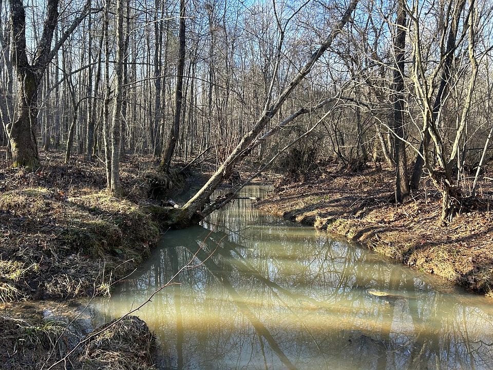 Main creek on Western side of property that flows South to North