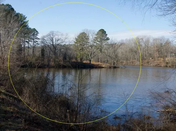 County Pond Rd, Freeman, VA 23856