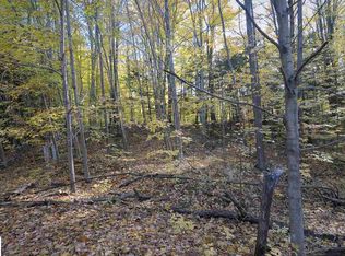 0 W Forest Trl, Leroy, MI 49655