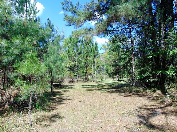5th image of 31168 County Road 121