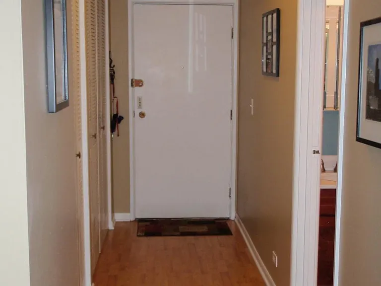 2 large closets and a pantry for the kitchen.
